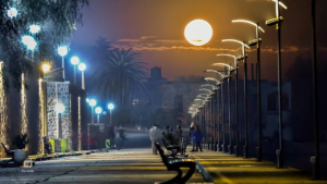 Galería de Fotos - Guíachascomús