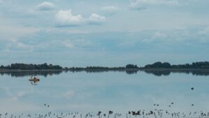 Lee más sobre el artículo Conectá con la naturaleza en Chascomús