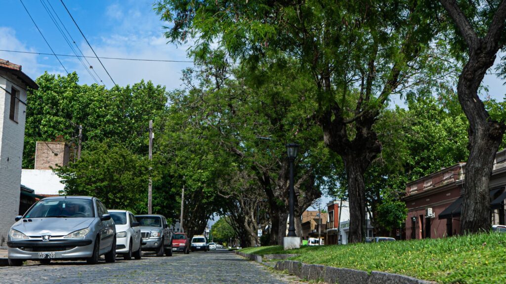Calle de adoquín en Chascomús
