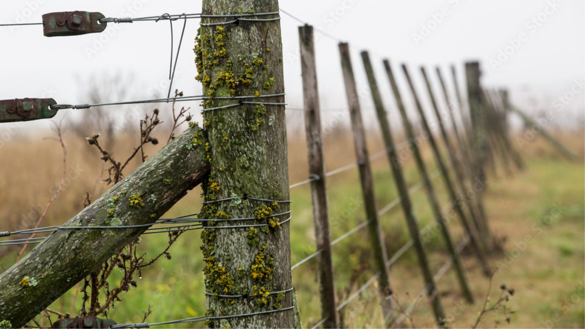 Alambrado en el campo