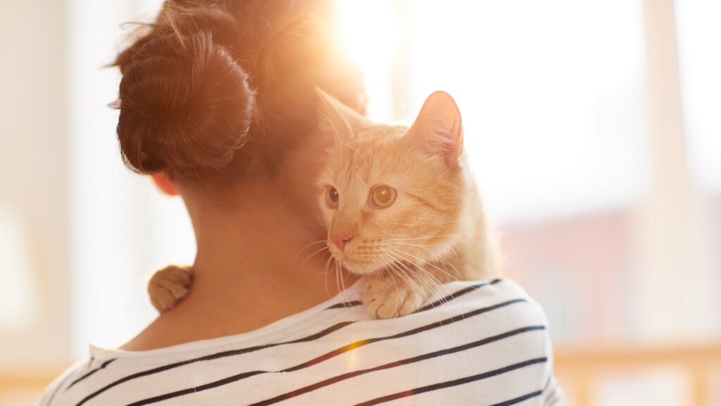 Hoteles Pet Friendly en Chascomús